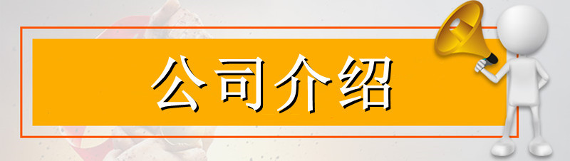 公司介绍