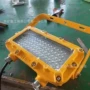 本安型127ldjc22led支架灯