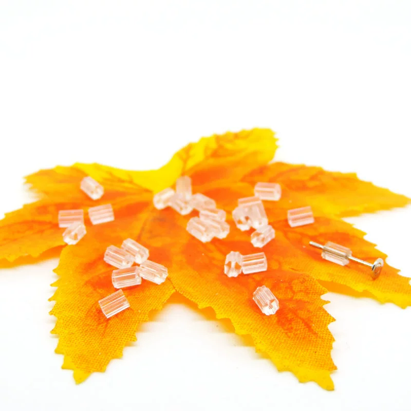 Earrings, accessory with accessories, earplugs