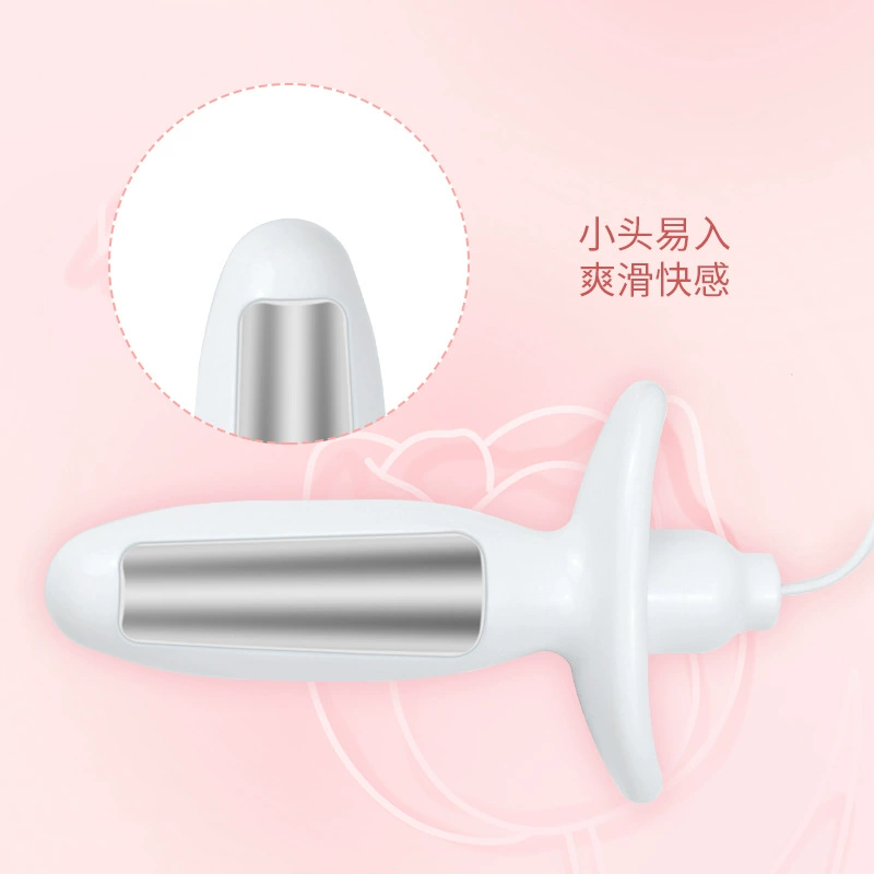 [Перезаряжаемая дистанционная управляемая электрическая анаL plug]SM