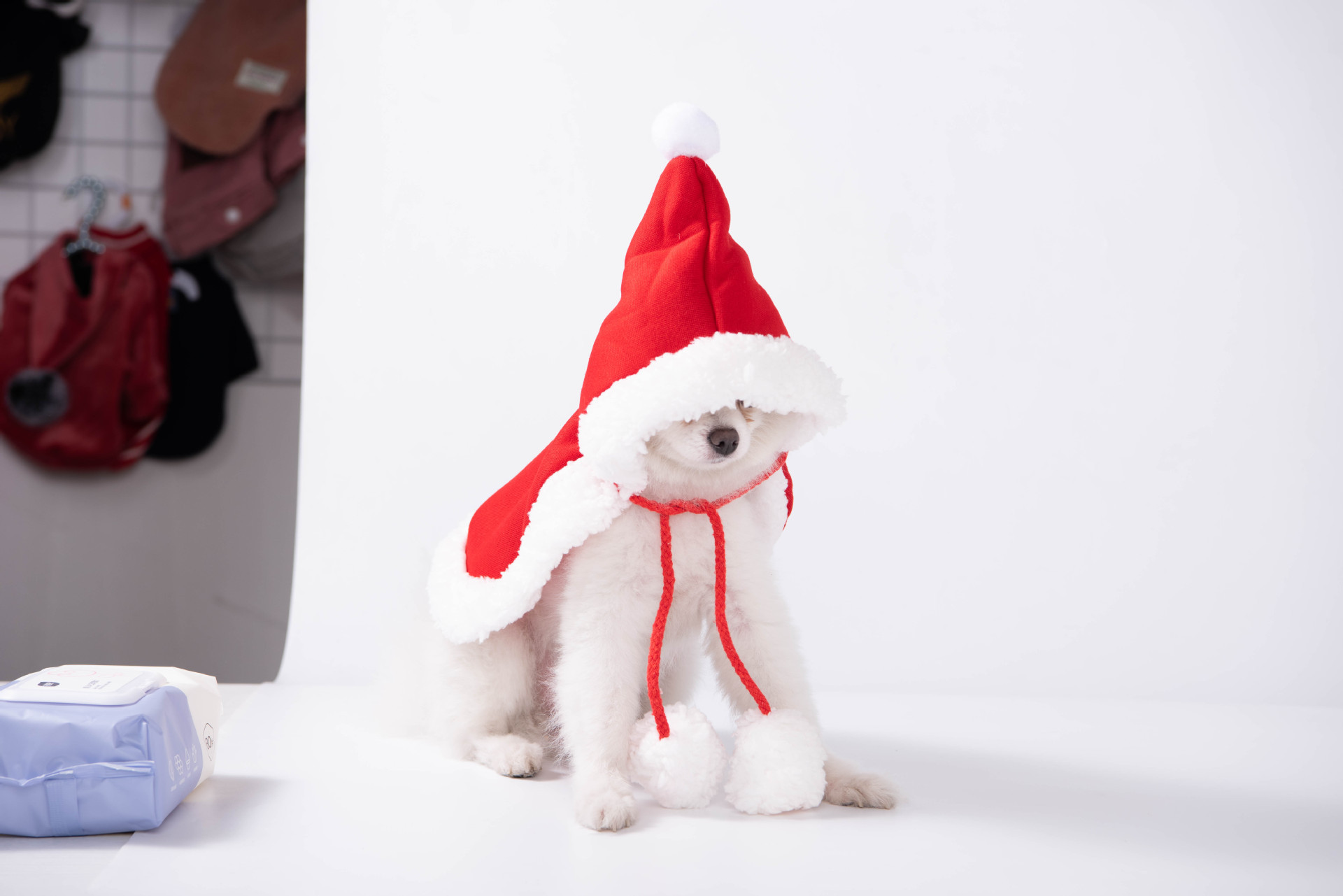Pet Clothes Christmas Cloak Dress Up Cat Scarf And Hat Small Dog Cloak Corgi Dog Christmas Clothes Wholesale display picture 2