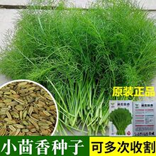 �������N������N���ļ��˷N�Ӵ�ȫ�����＾�߲˲˷N���r����