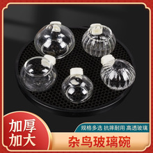 ��ó���۱�����ݺ��ɫ�����ʳ��ʳ�в���������������������