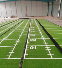 GYM  GRASS  ��������ƺ  �D����ƺ   ѩ����ƺ