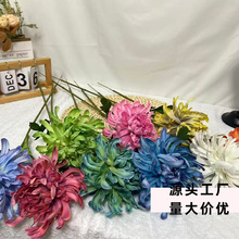 ���Ɔ�֧���F�շ��滨�ջ��ҾӾƵ�[���߷����b��ָл���������