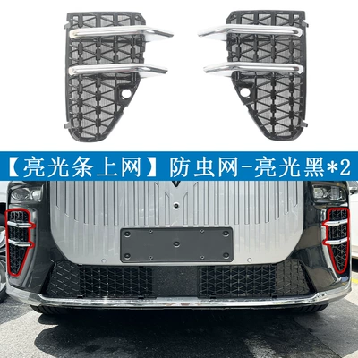 Automobile anti-insect net, 26 models of Lantu - 26-units-of-taishan-x8-side-mesh-with-bright-strips-painted-black2