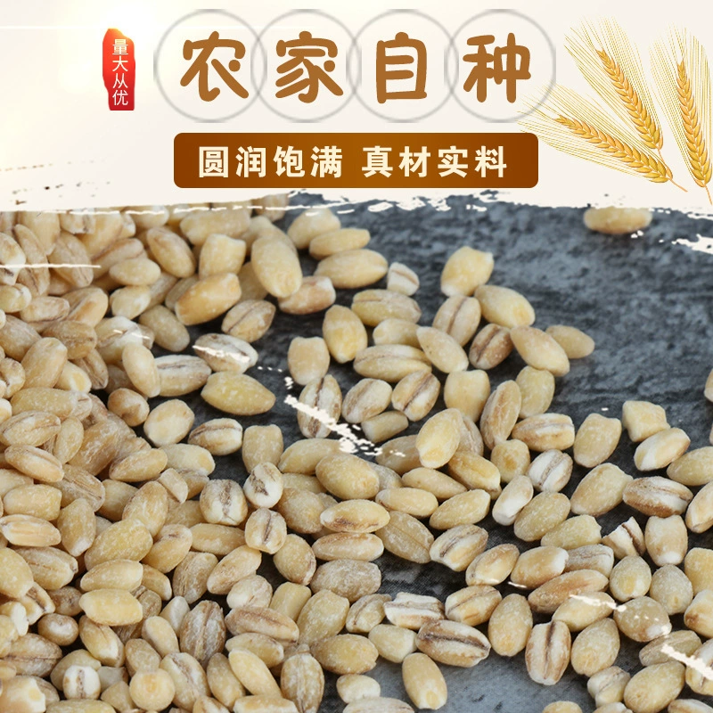 Sanchuan пшеничная промышленность производит ядра ячменя