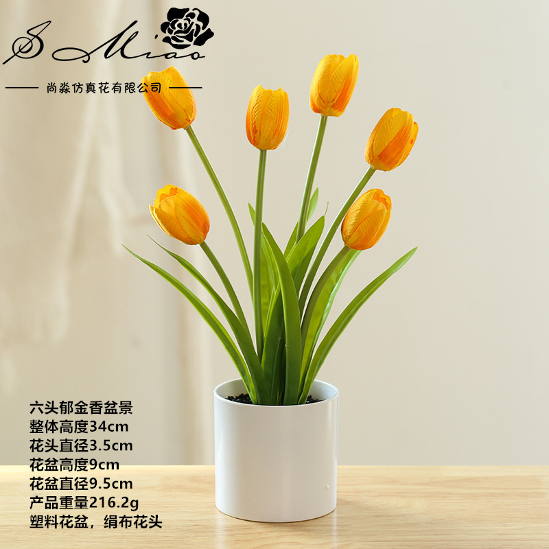 Camello 12215 Tulipa naranja ☆