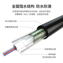 室外成品铠装光缆2芯4芯6芯8芯12芯架空免熔接户外光纤线网线SC/L
