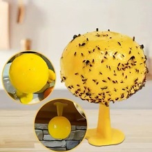 �����Tω���ω�T����С�w�x�T�����N��ճ�x���T�x��Ϲ�ճω��