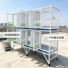 鸽子配对繁殖笼鸽子笼大号特大号移动组装鸽笼子鸽子笼大型