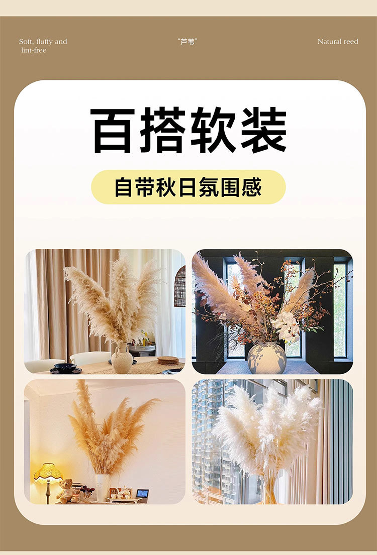 06633fbe-8ea8-416e-91ff-7c89b3ad1056.jpe