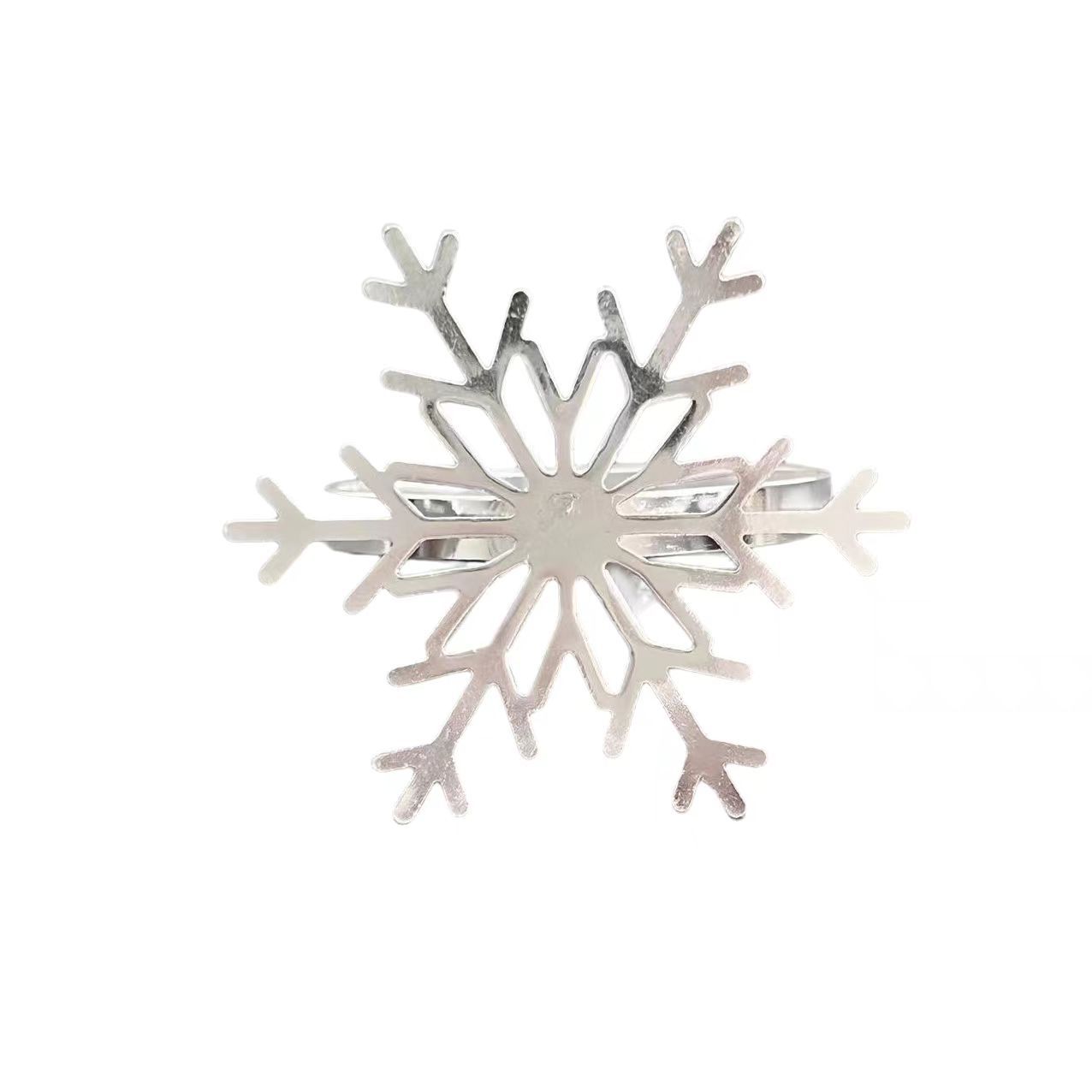 실버 눈송이 10