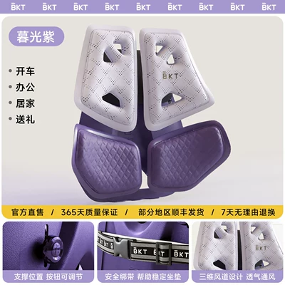 Support Cushion, Office Backrest, Waist support - 1-pack-twilight-purple