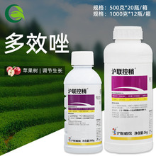 沪联控稍 25%多效唑挫果树水稻控旺剂矮化剂控制生长调节剂