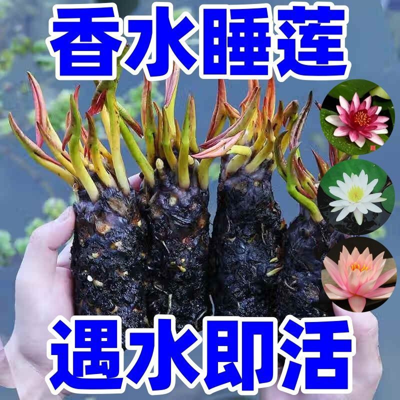 5cc2bc04-e19b-4b38-b4c3-8fe494b55e1d.jpe