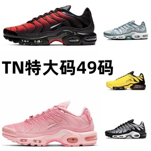 ���l��Ů�ش�a TN �����|�\��Ь�p��͸��Ӗ����HЬ�羳�W��Ь