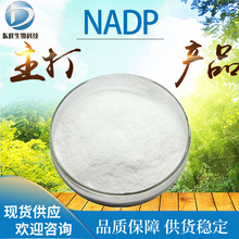 99%NADP氧化型辅酶Ⅱ 食品保健品原料烟酰胺腺嘌呤双核苷酸磷酸盐