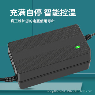 High-power electric two-wheeler tricycle 60v50ah 58ah 80ah charger for Jin Peng Zongshen