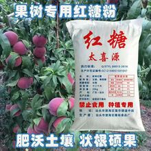 50���r�üt�ǉѸ��T���Nֲ�l�͌��ý��ع���@ֲ��N���~��ʼt��