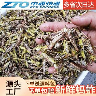 llΛ�ƻ��w���ك���ը���xʳ�����x���쎧�ѻ��ȥ�����l