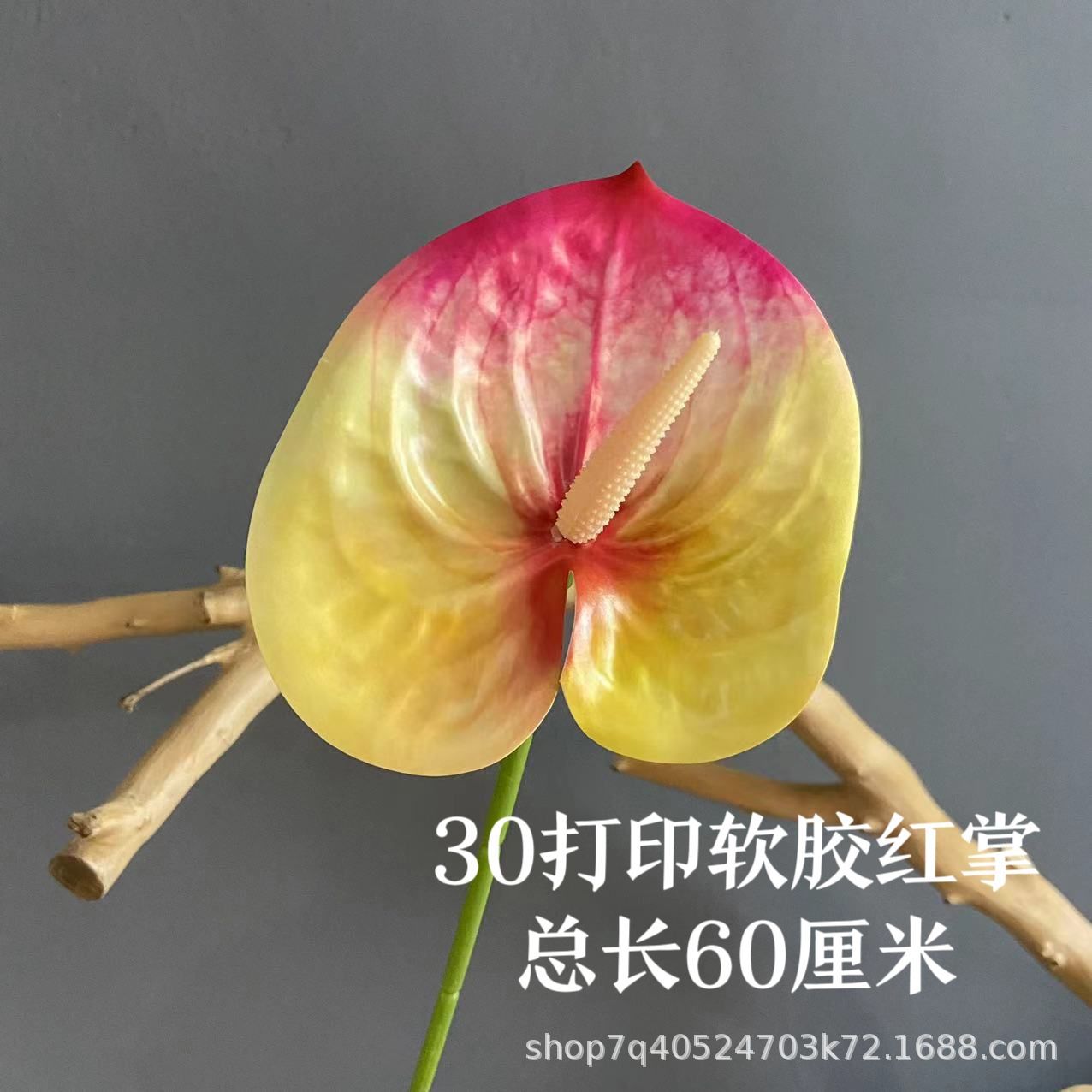 색상 번호 12
