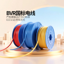 �h�|��|BVR1.5/2.5/4/6ƽ�����˼��b��о����~늾���ȼ��ܛ����