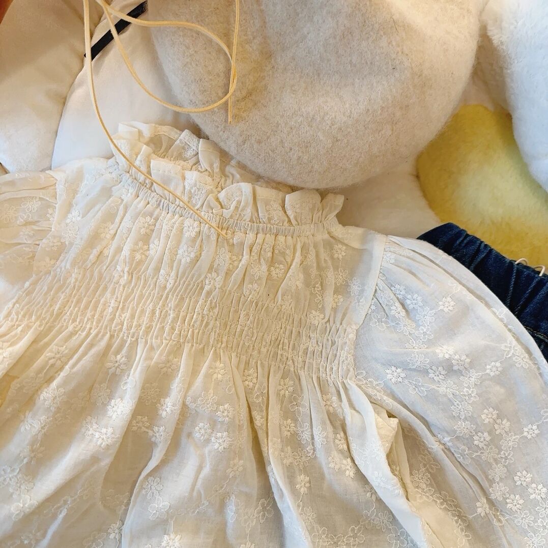 Salty Lime siete camisa para niños Otoño Nuevo estilo coreano ropa para niños bebé lindo encaje bordado camisa de muñeca de alto grado