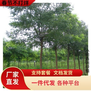 һ�����l����������������С�绱���紹����צ���㻨������