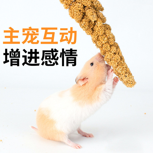 Parrot snacks, millet, tiger skin, peacock, peony, feed, bird food, bird grain, training rewards, food, hamster snacks