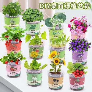 �NֲС���ԶY��؈�ݱ��ɷN������Gֲ���ㄓ���������տ���ݮ�Nֲ