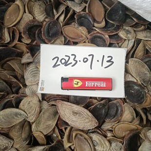 �����ϸ����Ƽ����M�ں�����ϸ�ŷ����y������㌣���ж����݅�