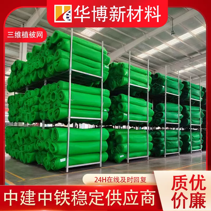 定制三维网植被网河道山体护坡网生态护坡网绿化植草网垫EM3EM4