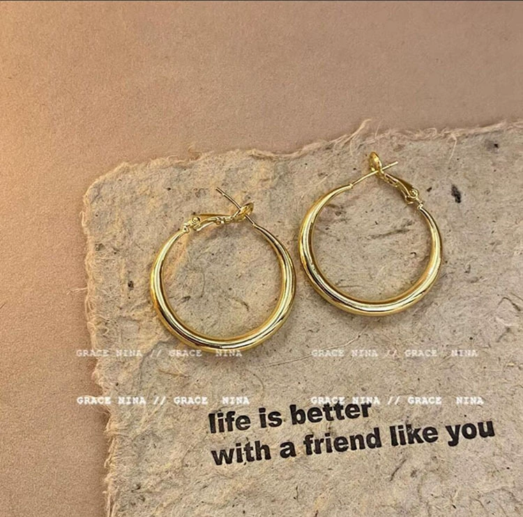 Silver 925 Earrings — Light Luxury Hoops & Drops, High-Quality Sterling, Multiple Sizes