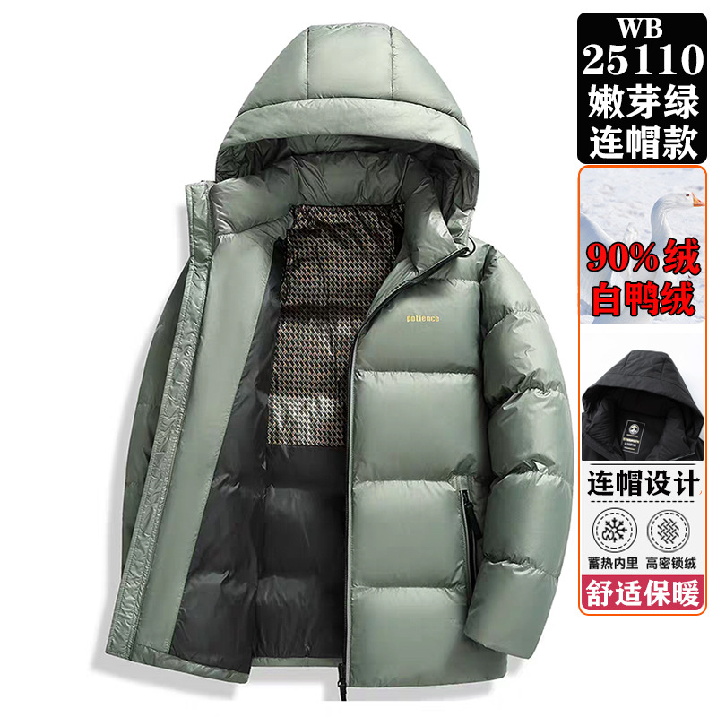 WB25110 새싹 그린