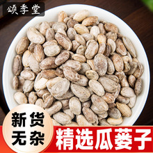 șľx؛VӹV؛ήʵɢb