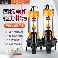 �������{�ô�����ˮ��S�ó���ɳ����ü���������ˮ�Ý�ˮ��