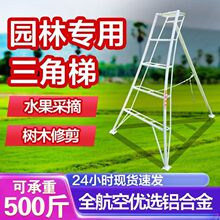 ��ժ���ǈ@�������_ˮ�������X�Ͻ��@ˇ���@��֦�޼���÷����