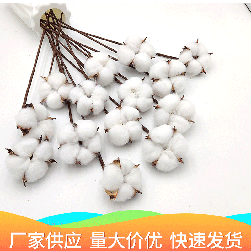 綿の乾いた花の花束の卸売りの永遠の花の装飾の撮影の道具は花のdiyのクリスマスの色の綿の乾いた花をシミュレーションします。|undefined