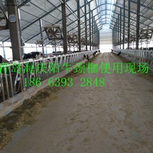 海庆阳实体生产厂家 热镀锌牛颈枷 不易生锈结实耐用牛颈夹