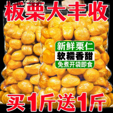 板栗仁即食油栗仁剥壳熟栗子仁真空小包装沂蒙山特产休闲零食小吃