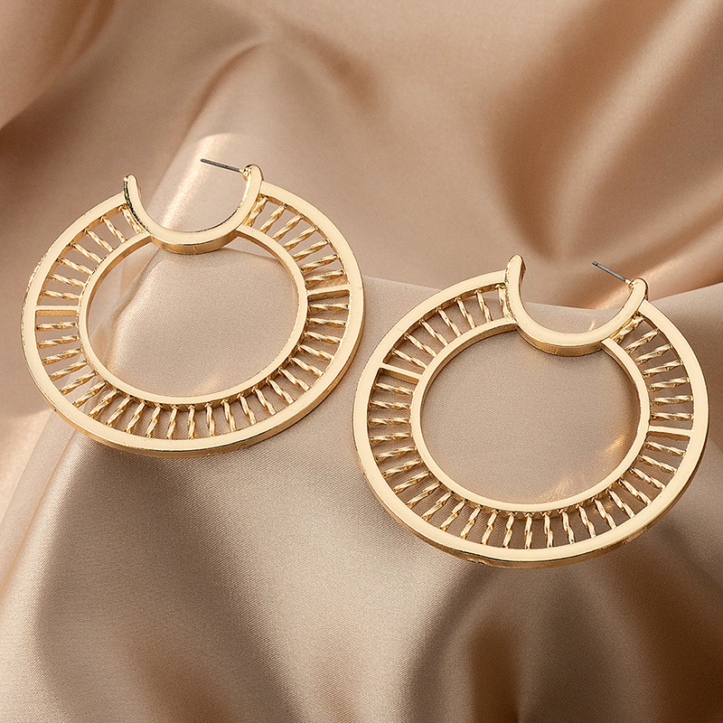 1 Pair Simple Style Round Zinc Alloy Earrings display picture 3