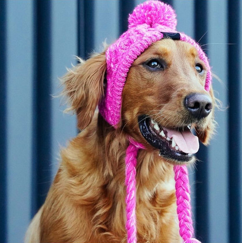 New pet headgear autumn and winter fur ball warm and anti-freeze wind puff ball knitted French bulldog knitted hat for large and small dogs