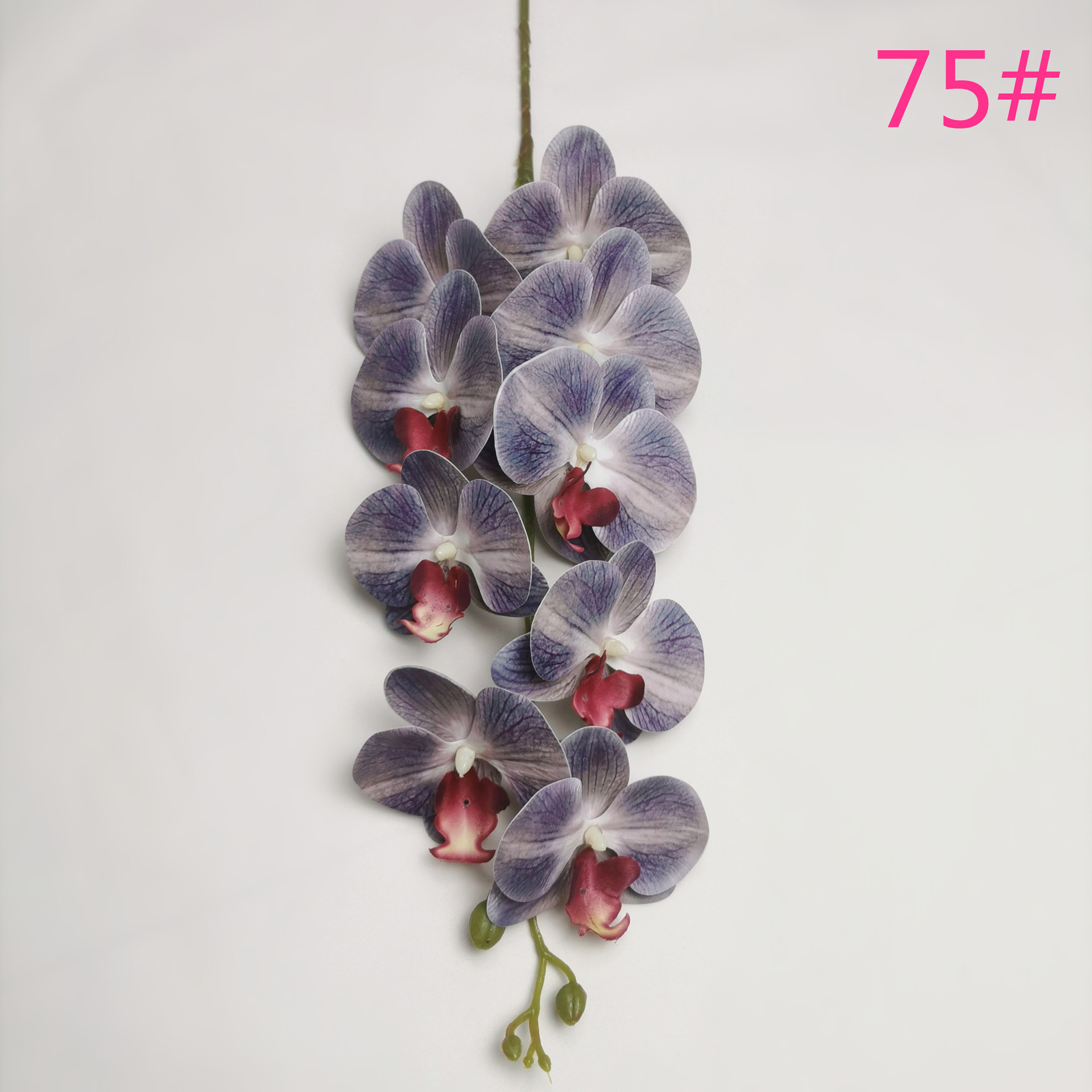 IMG_20220531_183854_副本