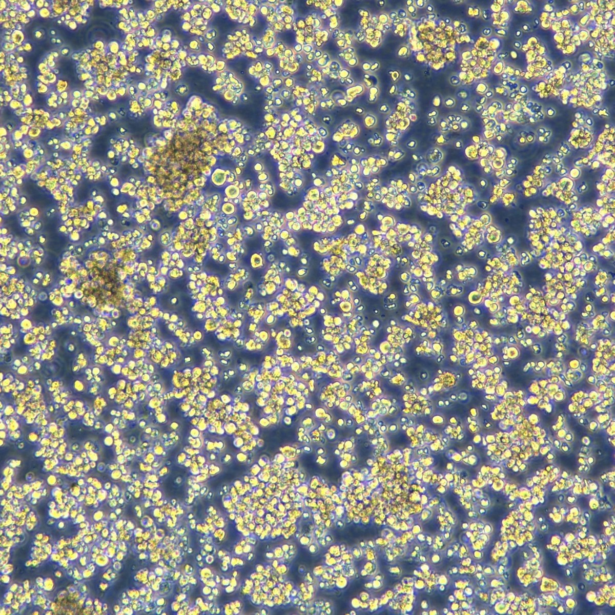 2025-09-18 13:50:10.jpg