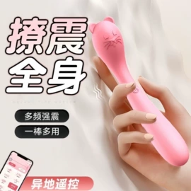 震动棒;情趣跳蛋;仿真阳具