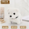 Collar Bichon Frize White Battery Style [86.2% of people chose it]