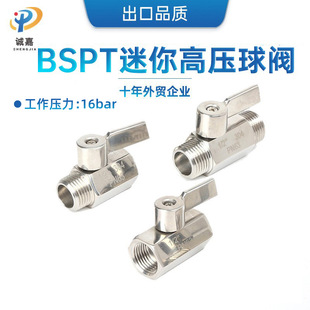 304/316L/BSPT�ݽz�p���p�������z�߉�΢�����㲻�P��_�P���y