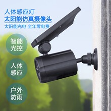 新款太阳能户外庭院挂灯仿真摄像头壁灯人体红外感应室内家用路灯