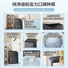 �m��С��'�Z��݆ϴ�C����������8/10/12KG׃�l��������ϴ���\ϴ
